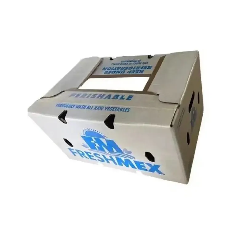 Biodegradable mum kağız qutusu